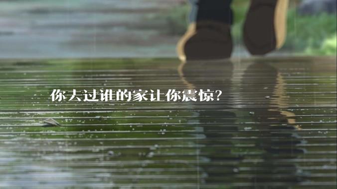 你去过谁的家让你震惊？
