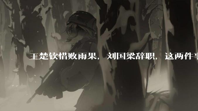 王楚钦惜败雨果，刘国梁辞职，这两件事有必然联系吗？