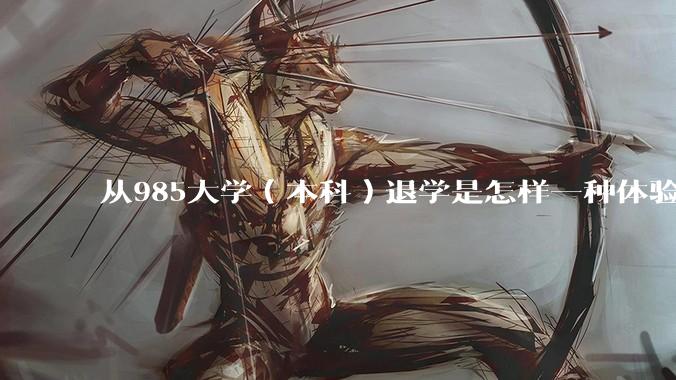 从985大学（本科）退学是怎样一种体验？