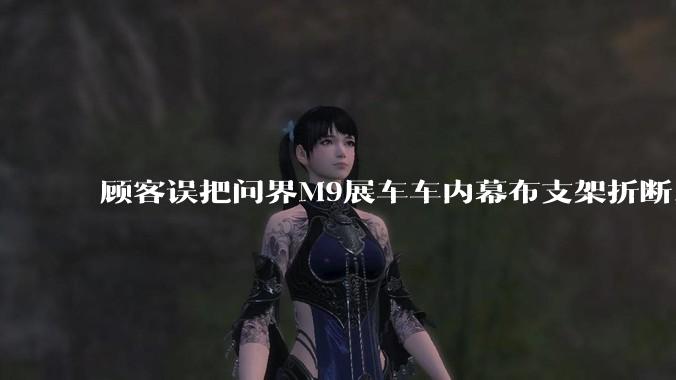 顾客误把问界M9展车车内幕布支架折断，被要求赔偿7000-10000元，你怎么看？